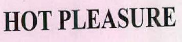 Hot Pleasure Device mark 2494438 Trademark