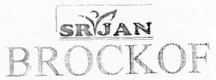 Srijan Brockof(device) Device mark 2539966 Trademark