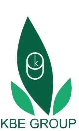 Kbe Group Device mark 2569757 Trademark