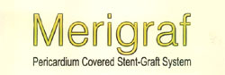 Merigraf Device mark 2619172 Trademark