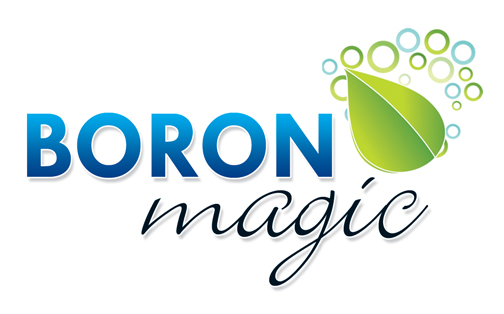 Boron Magic Device mark 2666326 Trademark