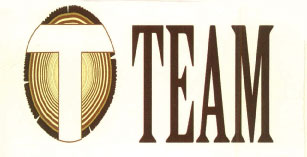 Team With T Logo Device mark 2663899 Trademark