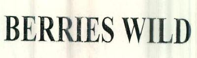 Berries Wild Device mark 2510996 Trademark