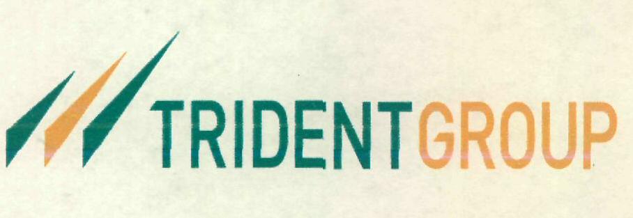 Trident Group Device mark 2728364 Trademark