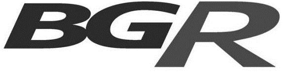 Bgr Device mark 2742953 Trademark