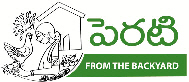Perati (logo) Device mark 2485081 Trademark