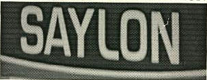 Saylon Device mark 2485126 Trademark