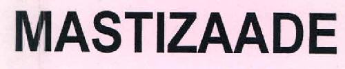 Mastizaade Device mark 2772971 Trademark