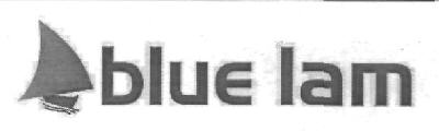 Blue Iam Device mark 2834888 Trademark