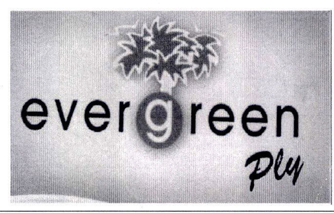 Evergreen Ply Device mark 2805584 Trademark