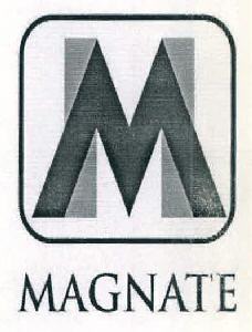 M Magnate Device mark 2827504 Trademark