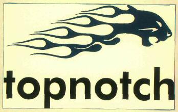 Topnotch Device mark 2907748 Trademark