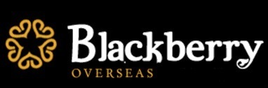 Blackberry Overseas Device mark 2906622 Trademark
