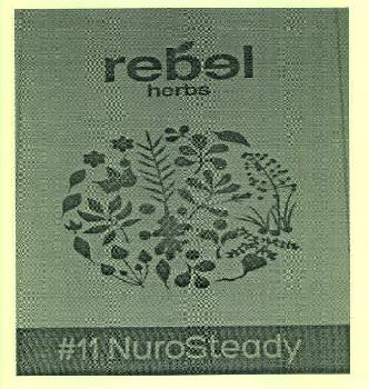 Rebel Herbs #11 Nurosteady Device mark 2975718 Trademark