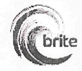 Brite Device mark 2998848 Trademark