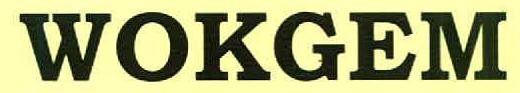 Wokgem Device mark 2978207 Trademark