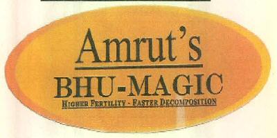 Amrut's Bhu-magic Device mark 2961029 Trademark