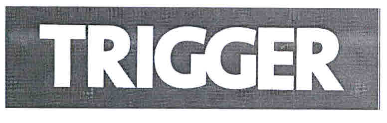 Trigger Device mark 3068809 Trademark