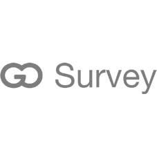 Gosurvey Device mark 2804951 Trademark