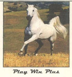 Play Win Plus Device mark 3162365 Trademark