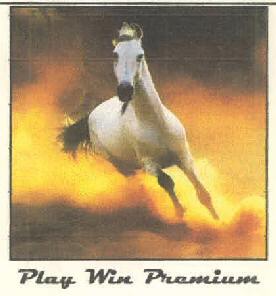 Play Win Premium Device mark 3162368 Trademark