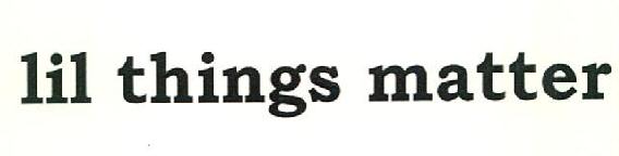Lil Things Matter Device mark 3108300 Trademark