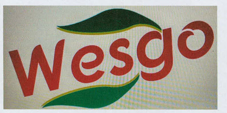 Wesgo Device mark 3185784 Trademark