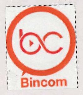 Bincom Device mark 3139719 Trademark