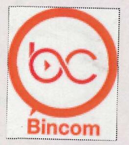 Bincom Device mark 3139720 Trademark
