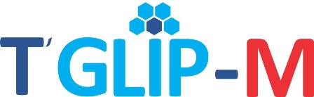T' Glip-m Device mark 3163173 Trademark