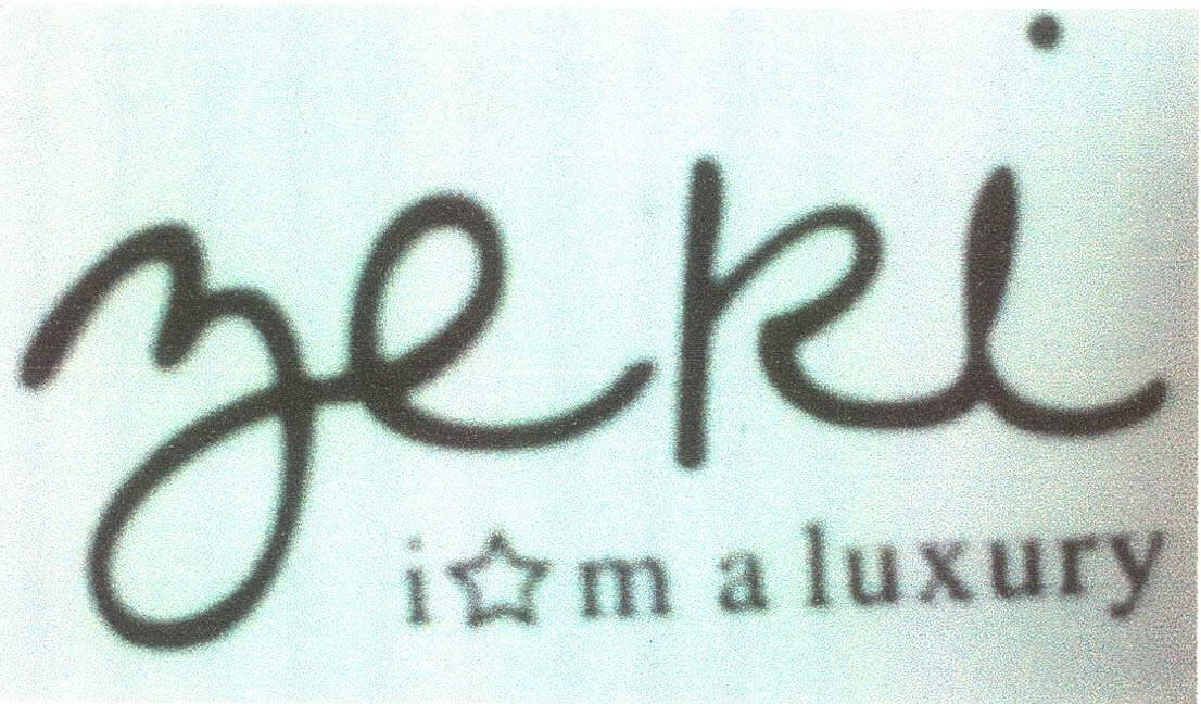 Zeki Device mark 2907576 Trademark