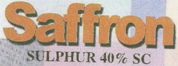 Saffron Device mark 3194100 Trademark