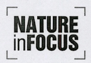 Nature Infocus Device mark 3240889 Trademark