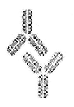 Device Device mark 3200988 Trademark