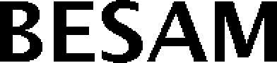 Besam Device mark 3251215 Trademark