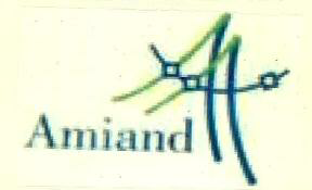 Amiand Device mark 3258917 Trademark