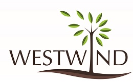 Westwind Device mark 3233234 Trademark