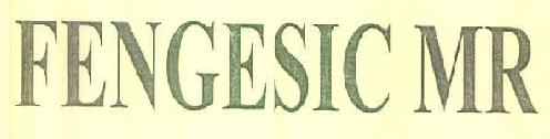 Fengesic Mr Device mark 3287444 Trademark