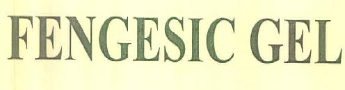 Fengesic Gel Device mark 3287445 Trademark