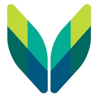 V (logo) In Colour Device mark 3248986 Trademark