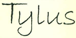 Tylus Device mark 3263131 Trademark