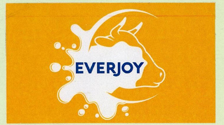 Everjoy Device mark 3264418 Trademark