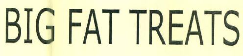 Big Fat Treats Device mark 3278776 Trademark