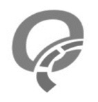 Q Logo Device mark 3038764 Trademark