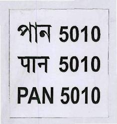 Pan 5010 (label) Device mark 3342046 Trademark