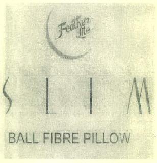Feather Lite Slim Ball Fibre Pillow Device mark 3054338 Trademark
