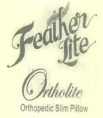 Feather Lite Orthopedic Slim Pillow Device mark 3054340 Trademark