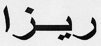 Riza Device mark 3054492 Trademark
