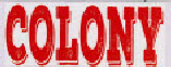 Colony Device mark 3380884 Trademark
