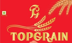 Topgrain Device mark 3062155 Trademark
